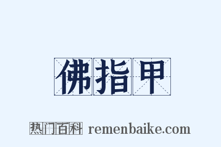 佛指甲是什么意思的图片